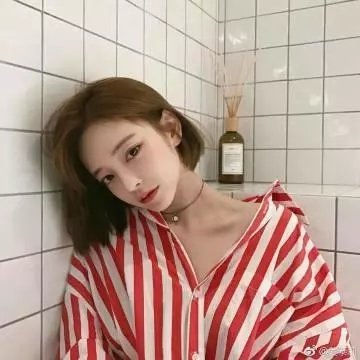 战火中的小狐狸