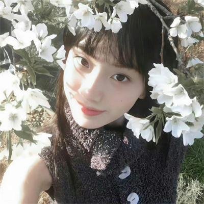 我的天才女友 第三季